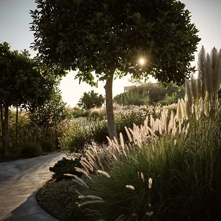 Butterflies Luxury Estate